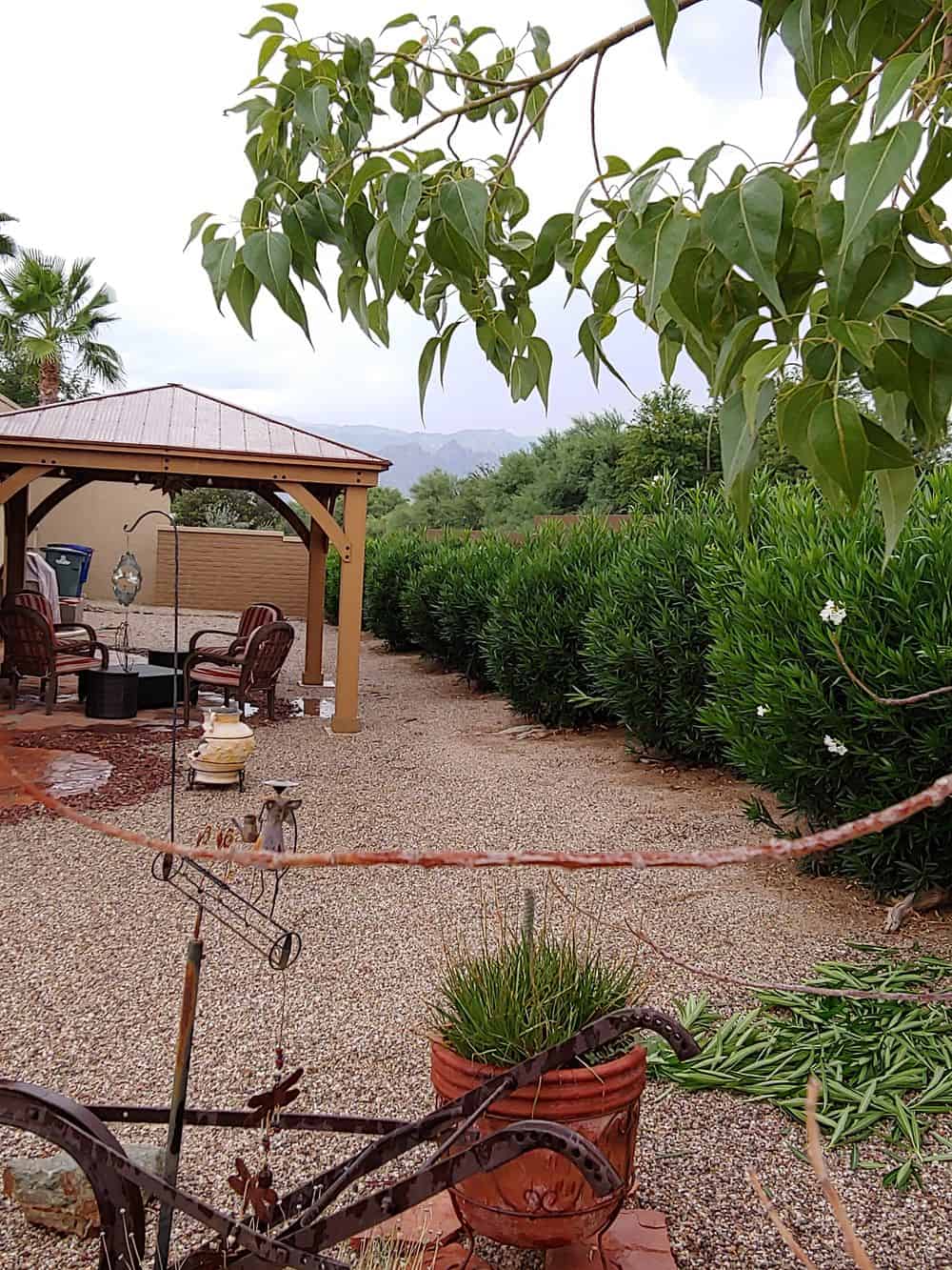Landscaping Maintenance Plans (weekly, bi-weekly, monthly, bi-monthly, quarterly)  image