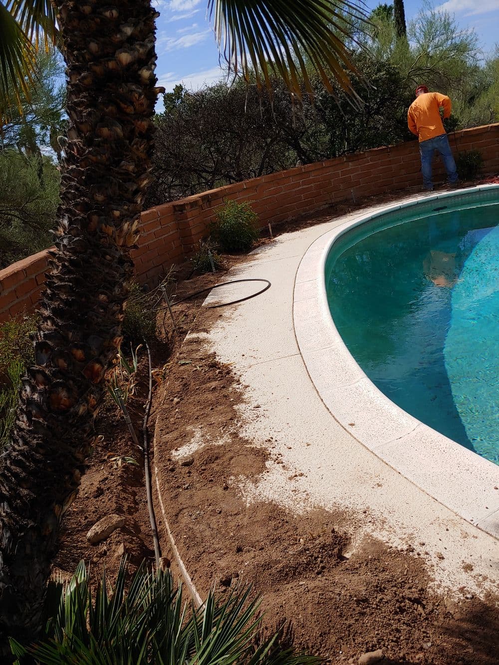 Worker tending to landscaping near a swimming pool with lush greenery and palm trees.