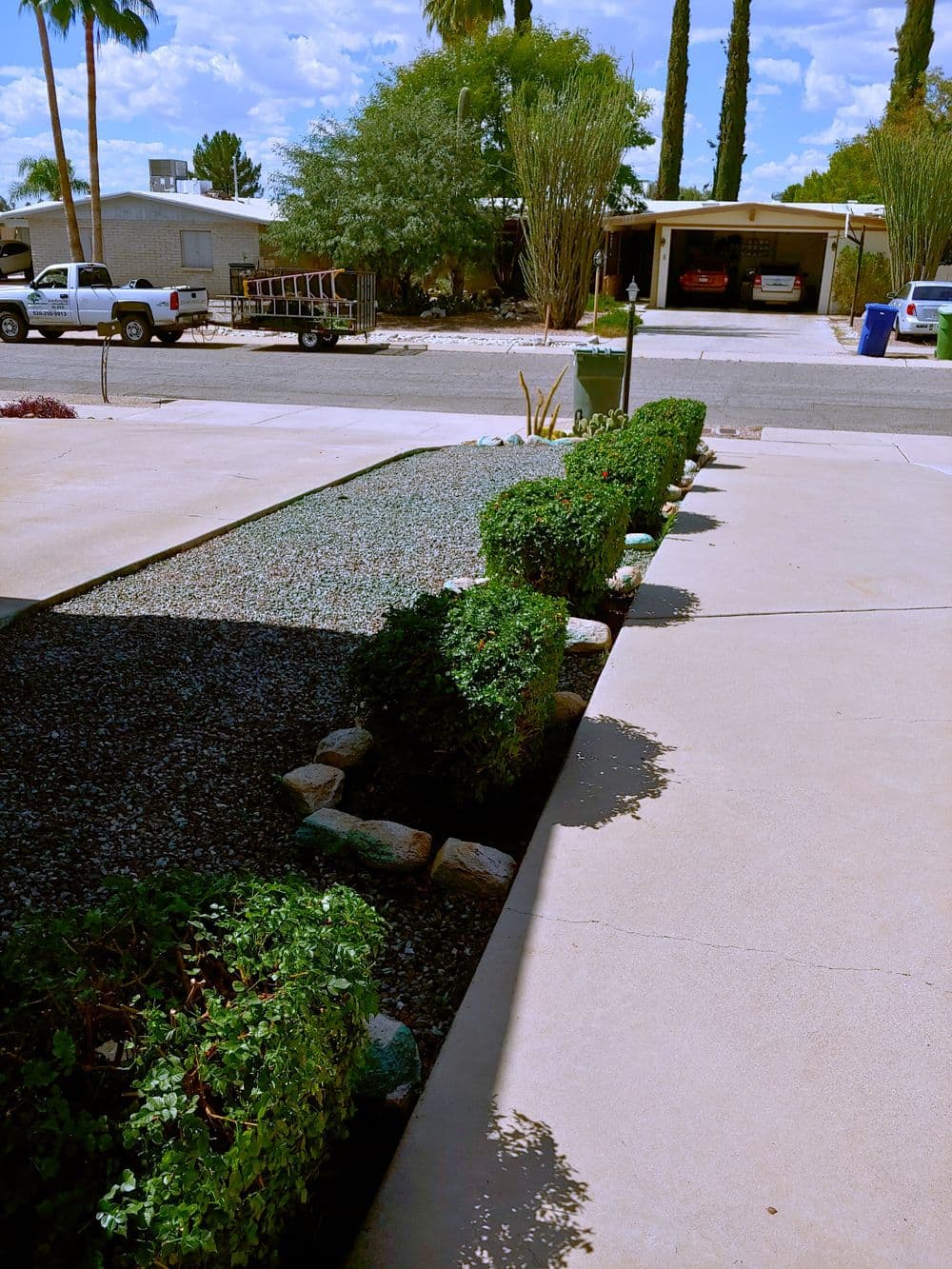 Lush green bushes lined along a gravel path in a residential area with parked vehicles.