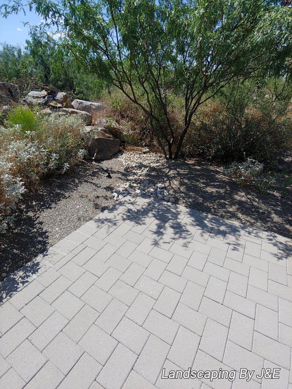 Paved pathway beside natural landscaping featuring a tree and rocky terrain.