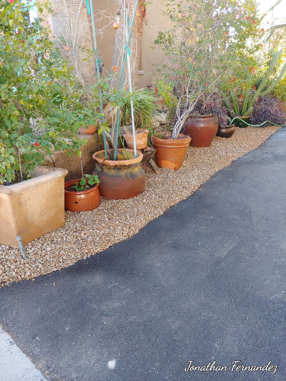 Garden pathway with potted plants and gravel, showcasing a vibrant outdoor space.