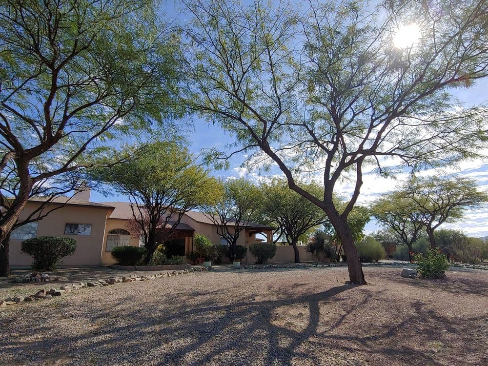 Desert landscape featuring a house surrounded by trees and a gravel yard under a sunny sky.